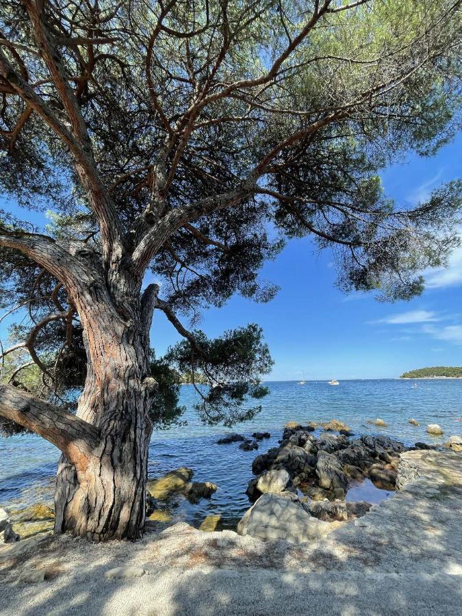Clorinda Sea View Free Parking Apartment Rovinj Luaran gambar